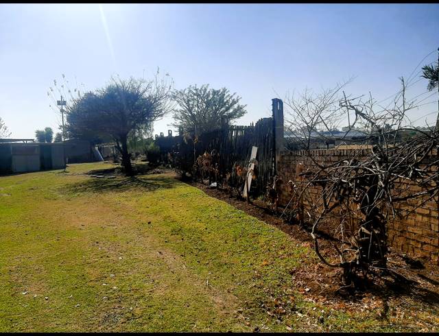 SMALLHOLDING RENTED IN DENNEOORD